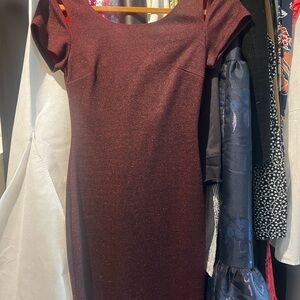 Elegant Burgundy Dress